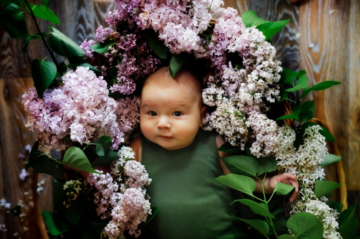 Baby surrounded by lilac blossoms and green leaves, looking up with a curious expression