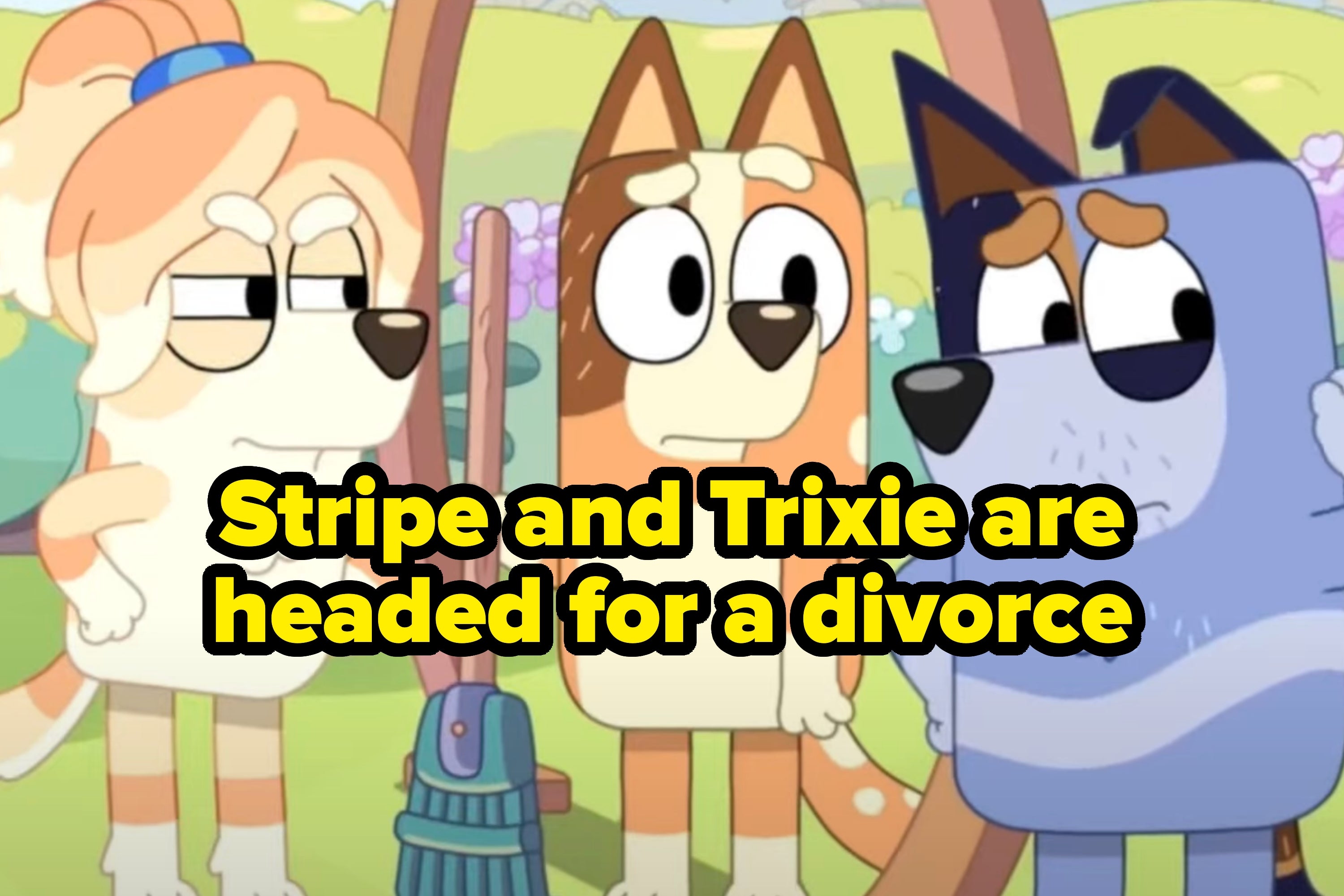 "Stripe and Trixie are headed for a divorce"