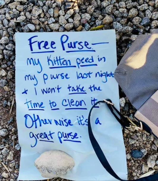 Note with &quot;Free Purse&quot; offer, humorously declines cleaning a purse soiled by a kitten. A striped purse is partially visible next to the note