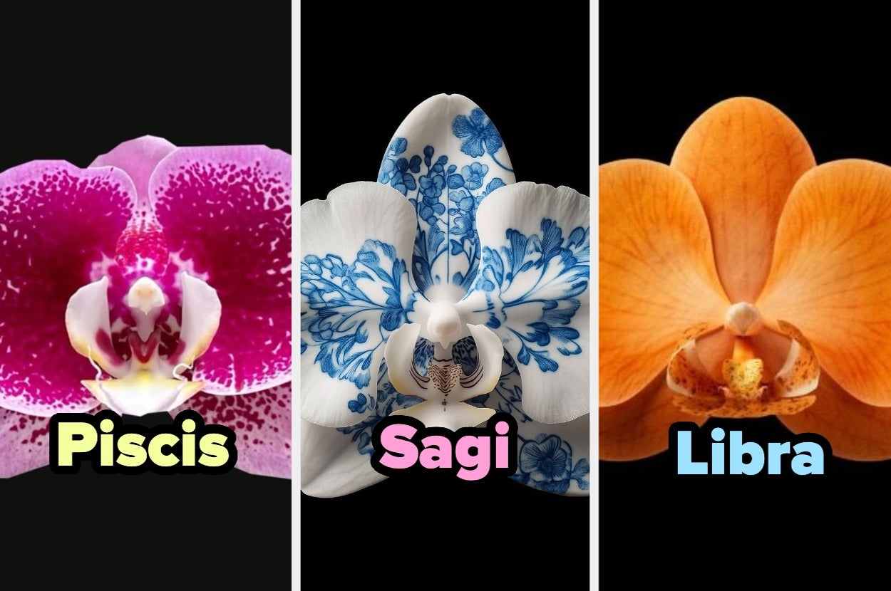 Tres orquídeas con etiquetas de signos zodiacales: Piscis, Sagitario y Libra. Cada orquídea tiene un diseño distintivo