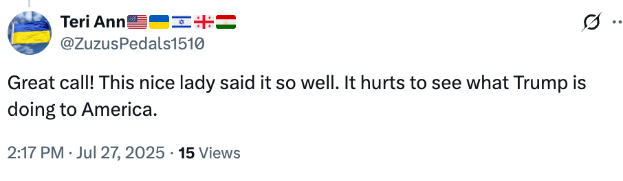 Screenshot of a tweet by Teri Ann expressing agreement with a comment about Trump and America, dated July 27, 2025