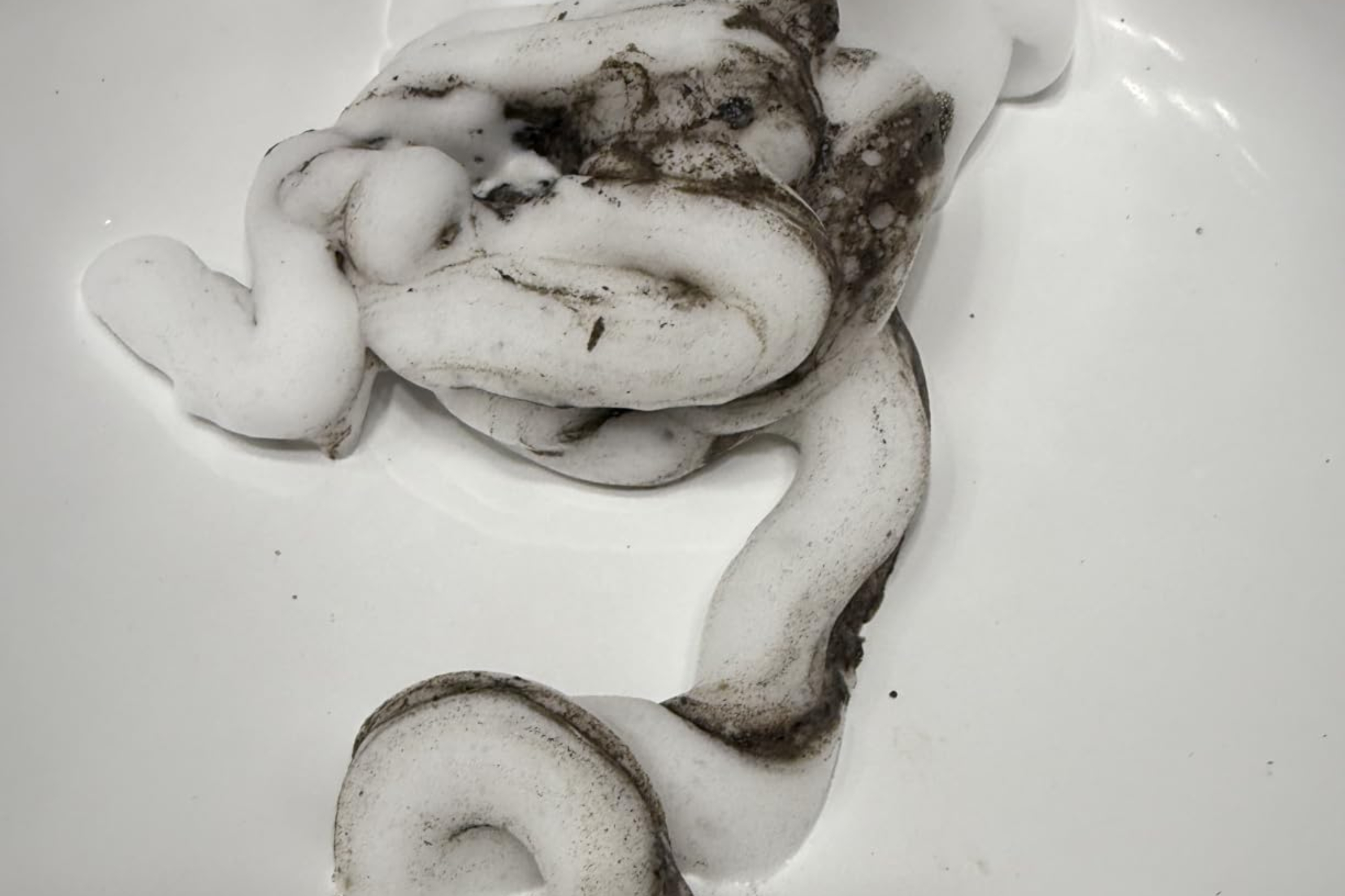 White foam with gray swirls in a spiral shape in a sink