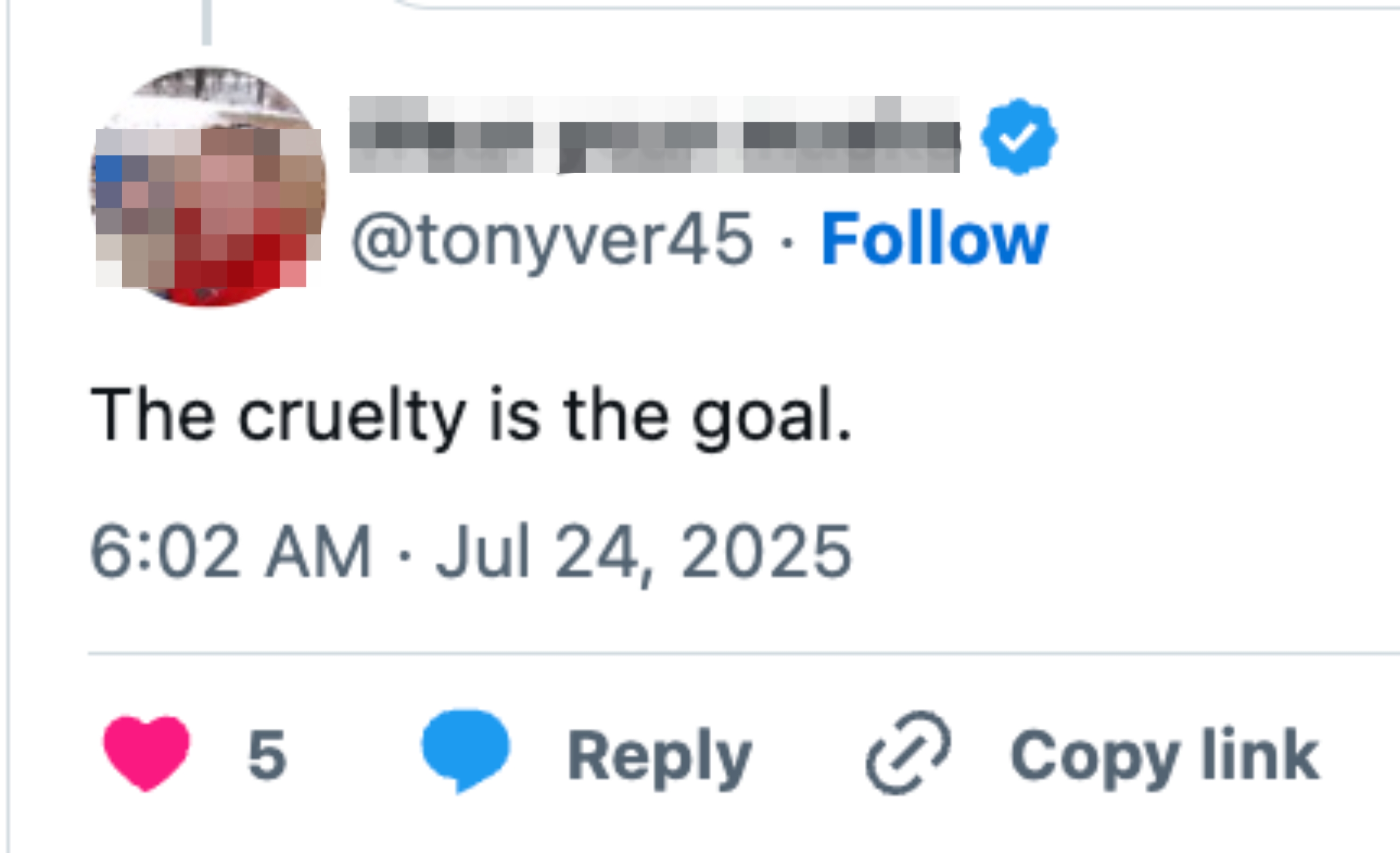 Tweet screenshot from @tonyver45: &quot;The cruelty is the goal.&quot; Dated July 24, 2025, with five likes