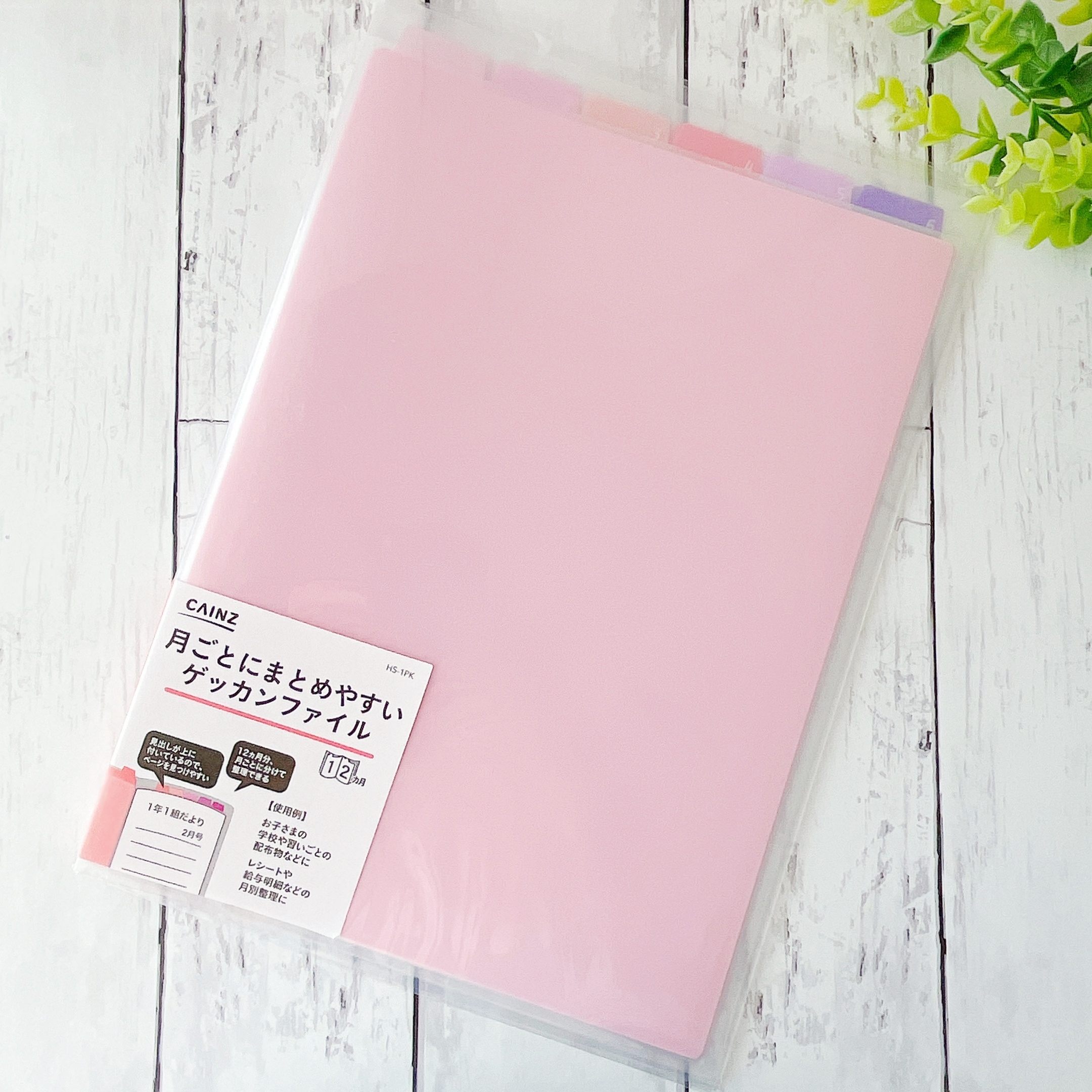 キッズ ホイルロール紙 5m ピンク〔×10セット〕 キッズ ホイルロール紙 5m 銅〔×10セット〕