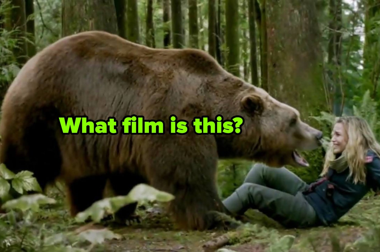 I've Collected 12 Animals In Film, You Just Have To Tell Me The Movie They're From