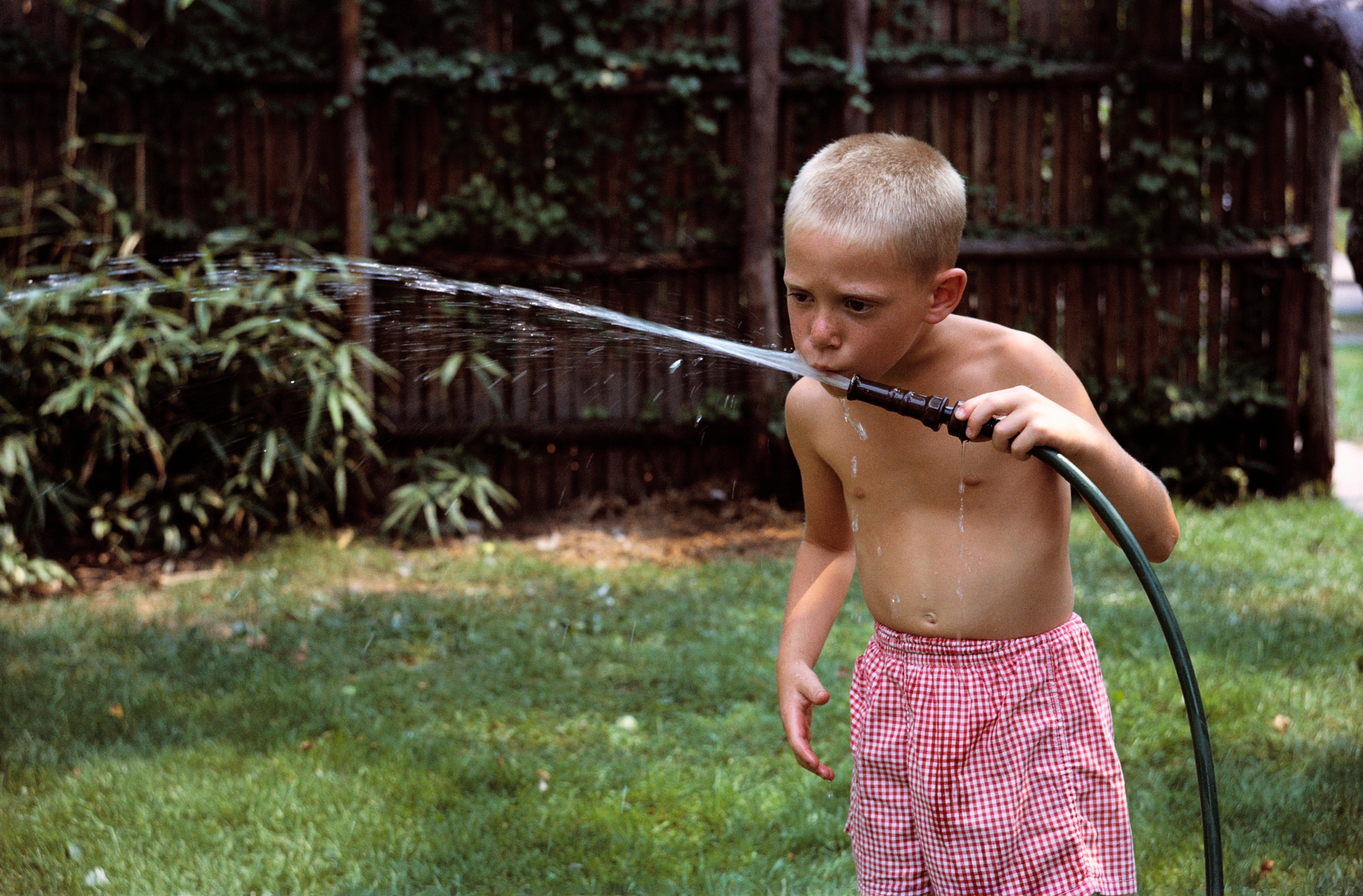 Child in checkered shorts drinks from a garden hose in a backyard setting