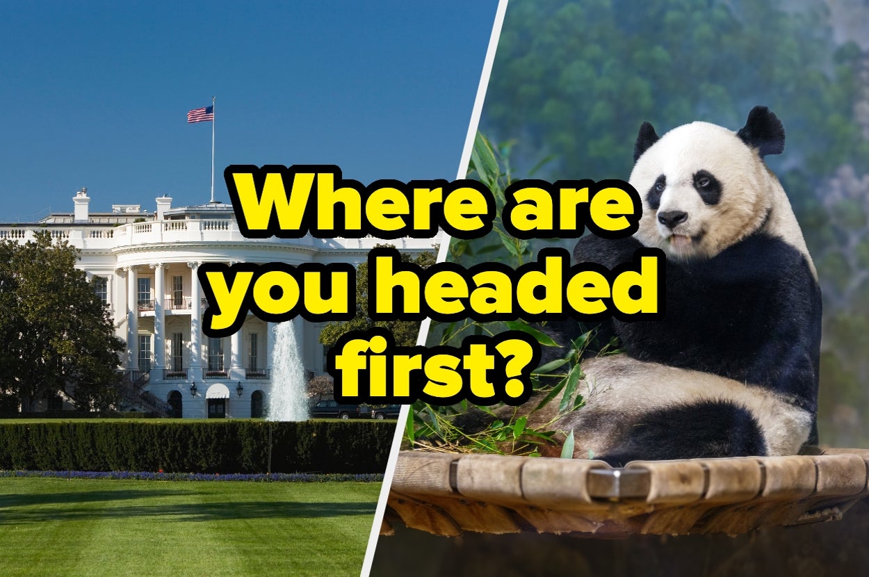 Travel Around Washington, DC And Get Another World Capital To Visit