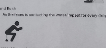 Summary of image text: Guidelines on courtesy flushing, detailing when to flush during the use of a restroom