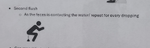 Summary of image text: Guidelines on courtesy flushing, detailing when to flush during the use of a restroom