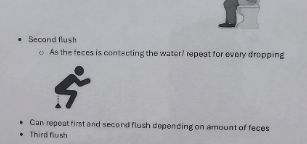 Summary of image text: Guidelines on courtesy flushing, detailing when to flush during the use of a restroom
