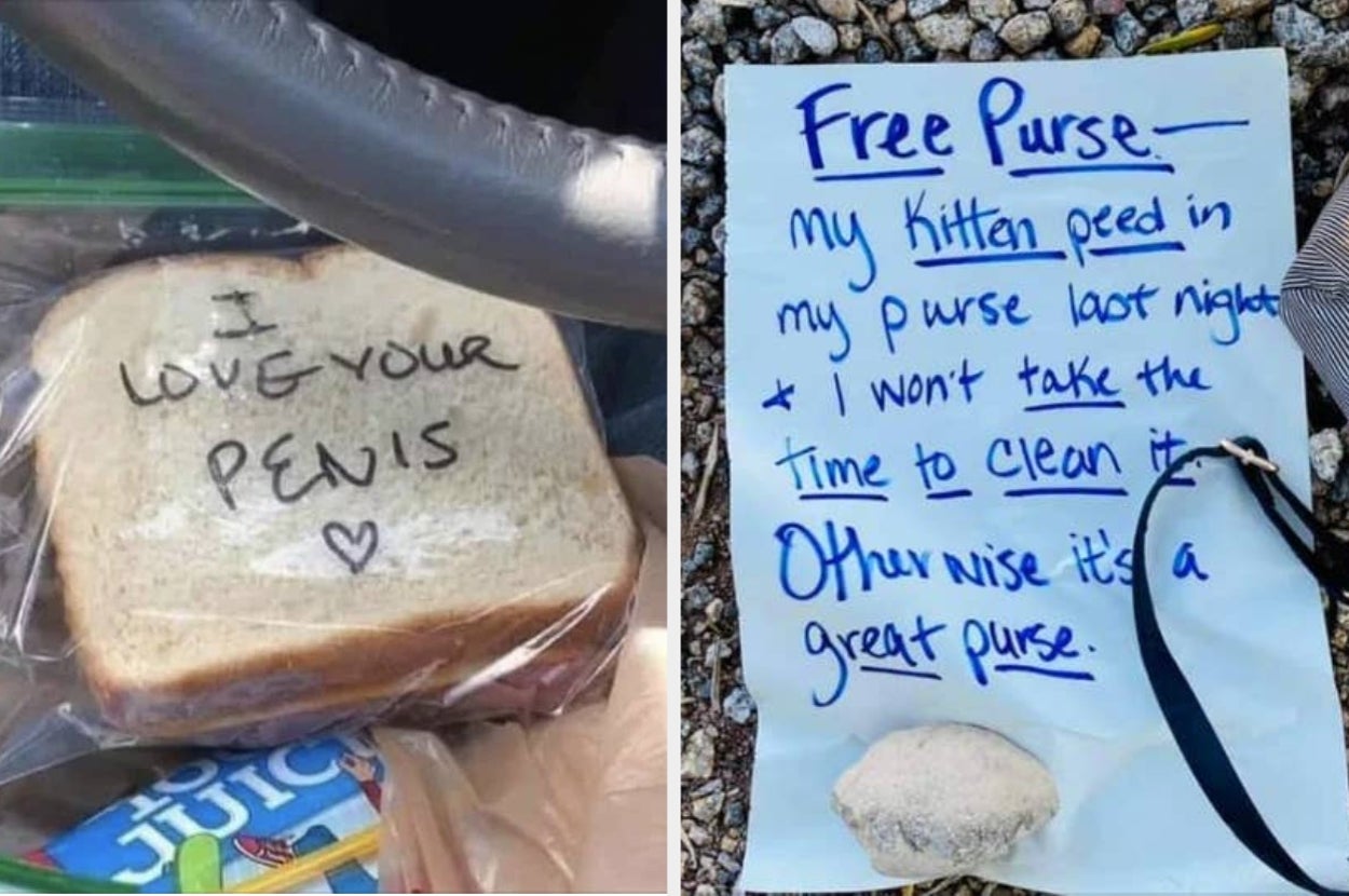 Note with a sandwich says "I love your penis." Next to it, a sign offering a "free purse" because a kitten urinated in it
