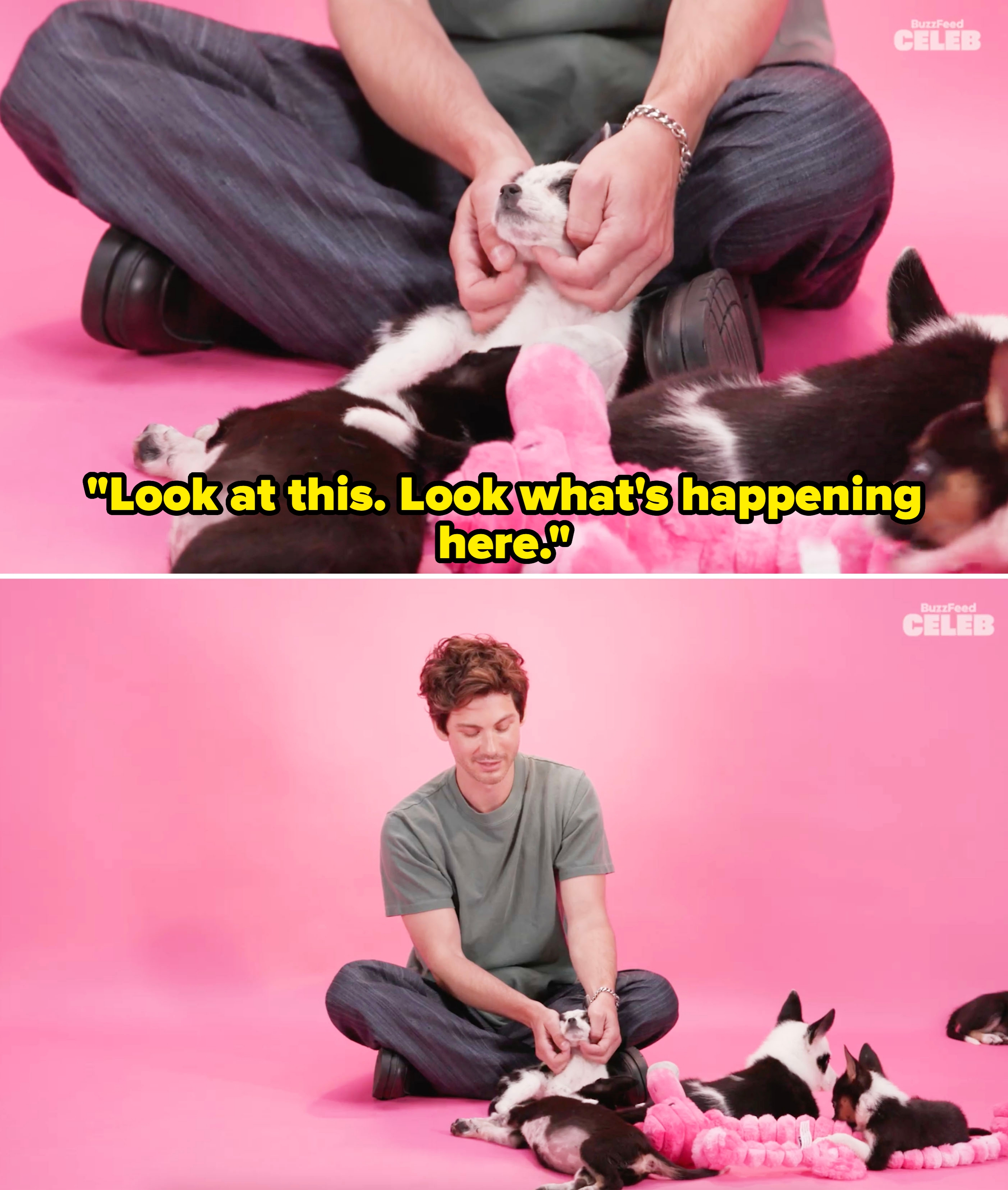 Logan sitting on the ground cupping a puppy's face