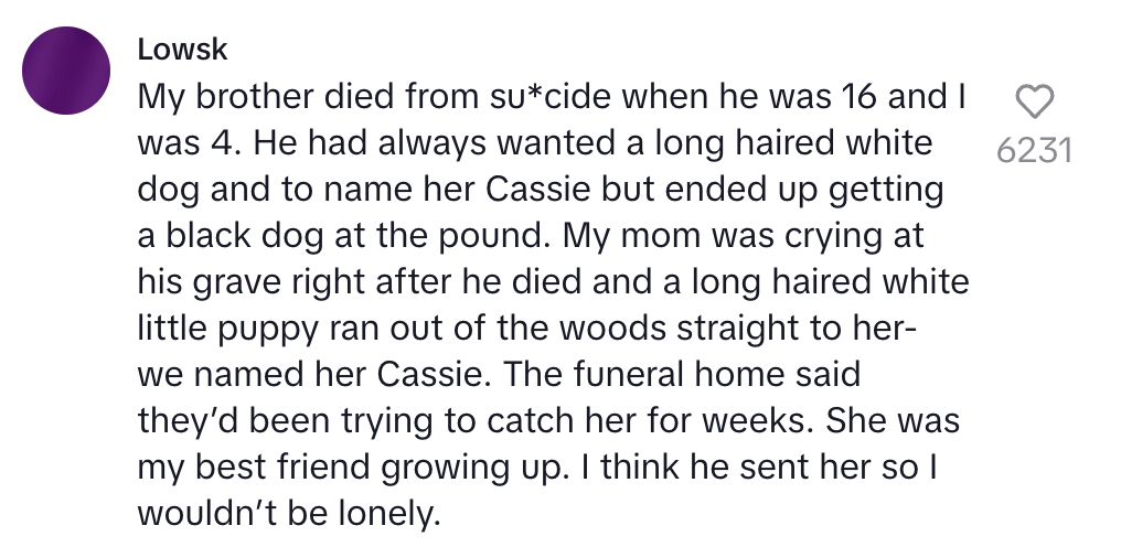 Summary of text: A person recounts how their brother, who died by suicide, wanted a white dog named Cassie. They got a black dog instead. After the brother's funeral, a white dog appeared, named Cassie by the family