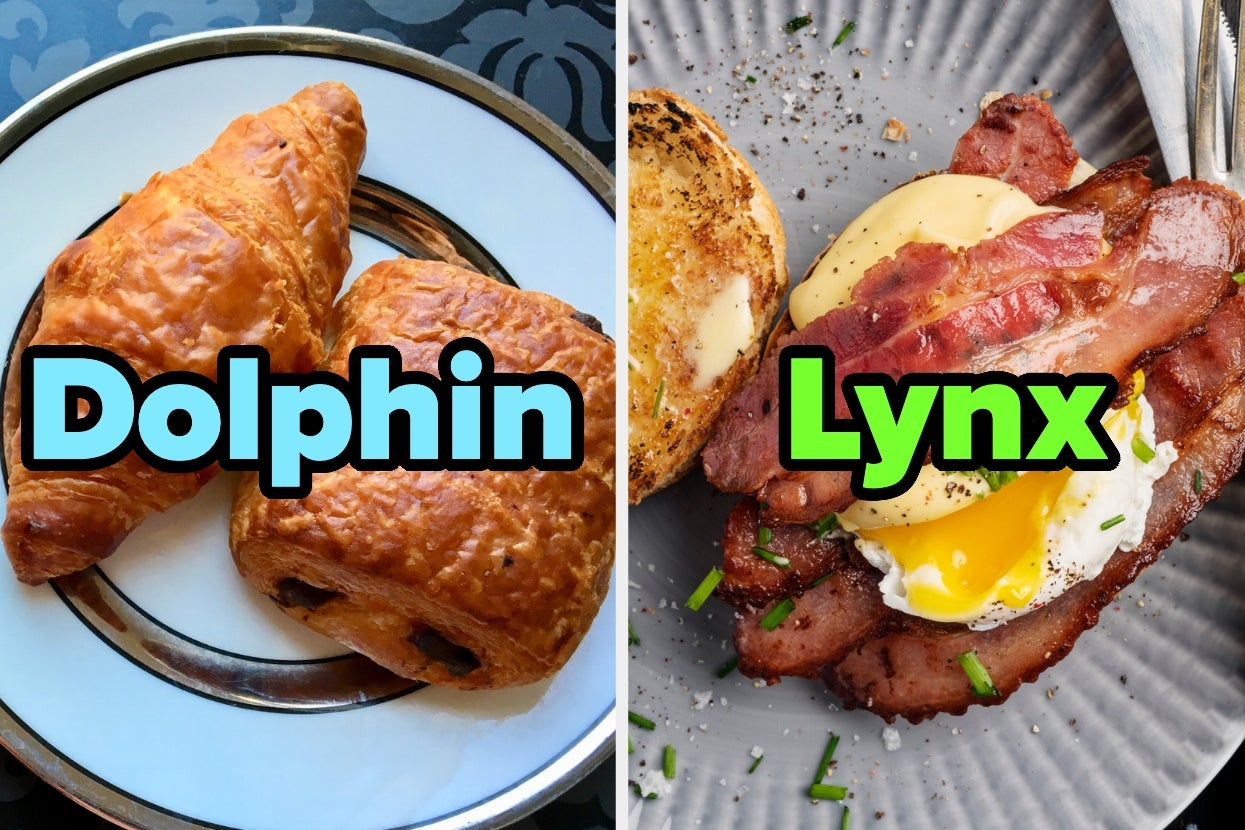 Two-panel image: Left shows two croissants labeled "Dolphin." Right shows bacon and eggs on toast labeled "Lynx."