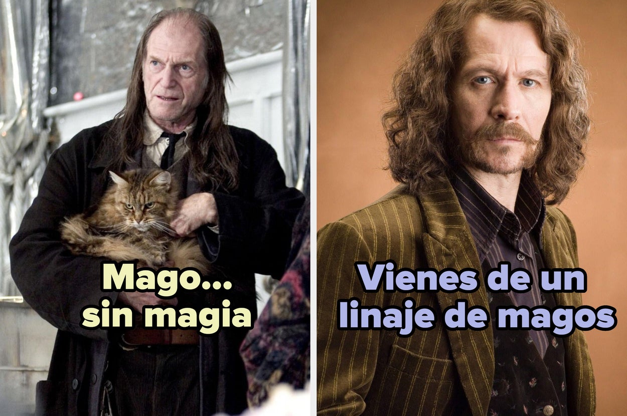 Imagen de un hombre mayor sujetando un gato con texto superpuesto: "Mago... sin magia". A la derecha, texto: "Vienes de un linaje de magos"