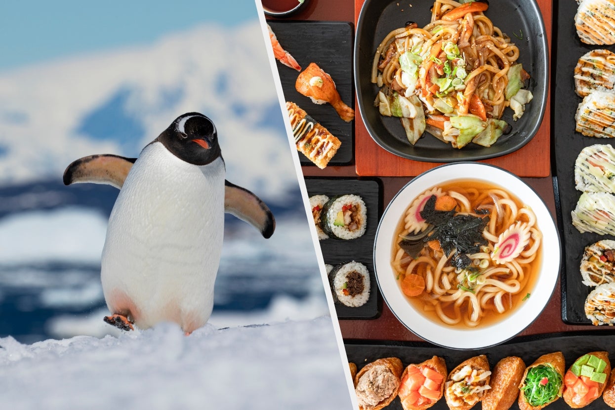 Penguin walking on snow; next to it, a variety of Japanese dishes like sushi and udon on black square plates