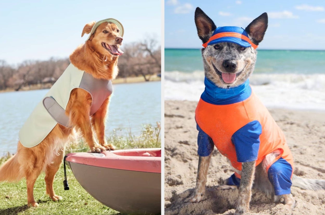 Two dogs wearing summer beach apparel: a Golden Retriever on a kayak and a Blue Heeler on the sand, both in sporty outfits with hats