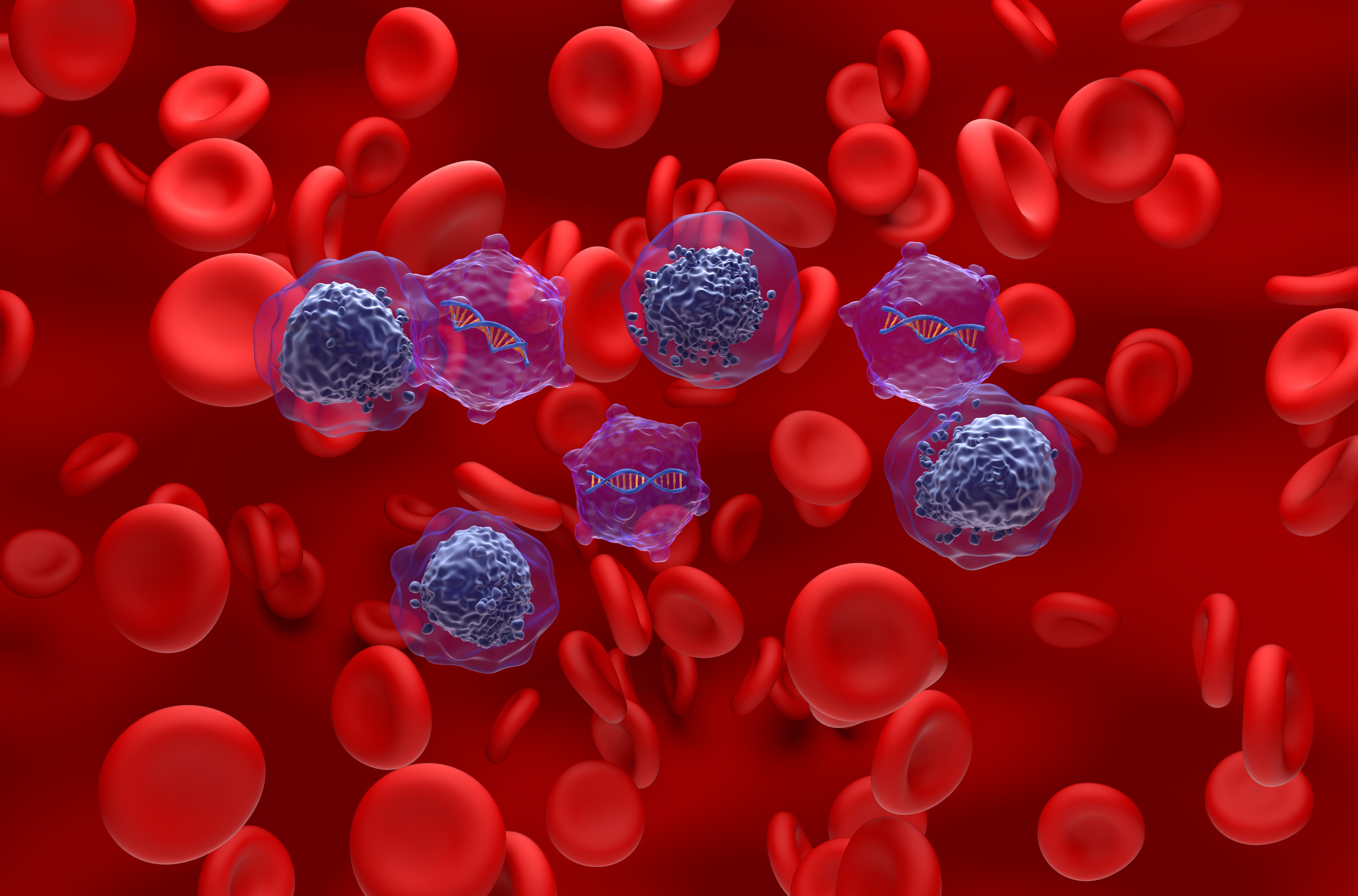 Røde blodlegemer og illustrerte immunceller med synlige DNA -tråder