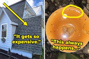 Left image: House with unusual steep roof section. Right image: Bowl with berries and small bugs