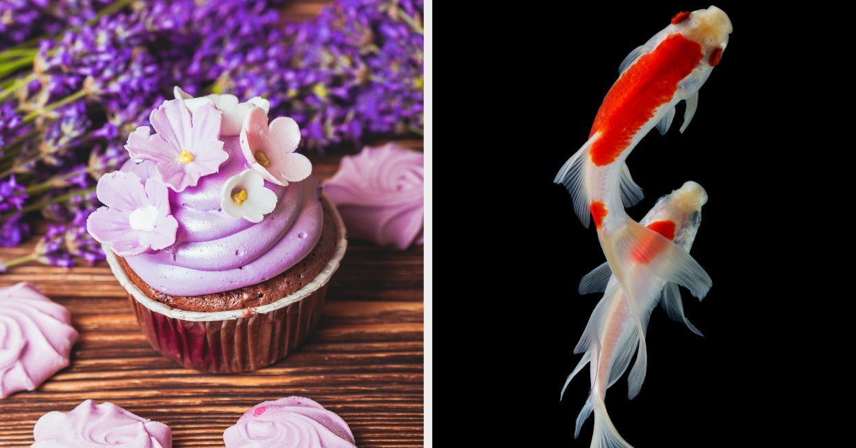 Eat At An All-Purple Buffet, And I'll Reveal Your Inner Animal