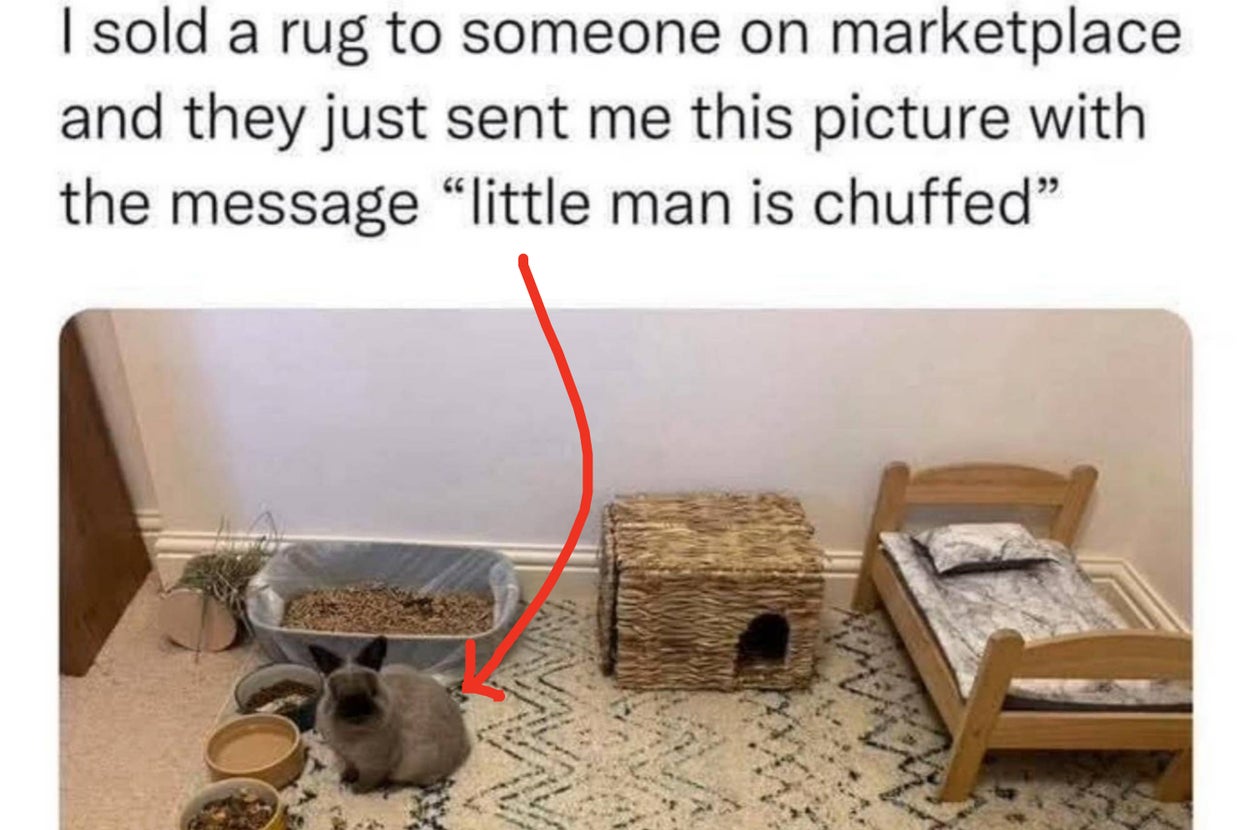 A small rabbit sits near a toy bed and woven house, next to food dishes. A humorous message describes the rabbit as "chuffed" with a sold rug