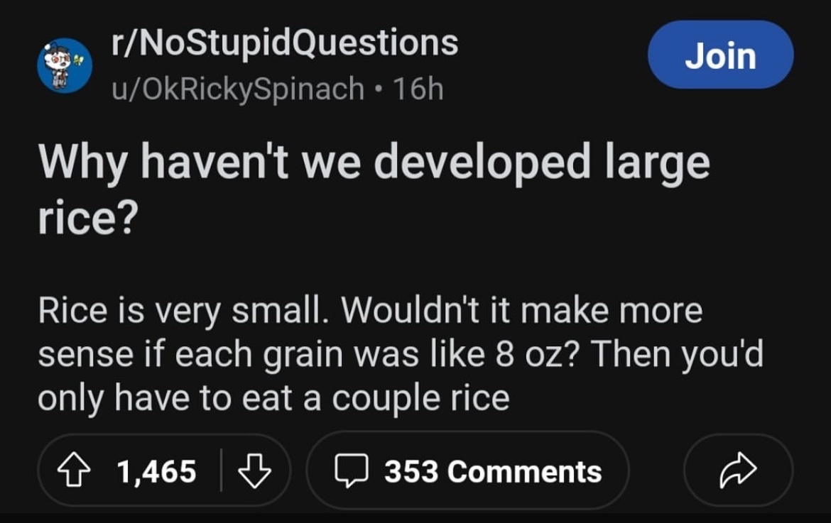 Reddit post questions why large rice isn&#x27;t developed, suggesting 8 oz grains for fewer bites