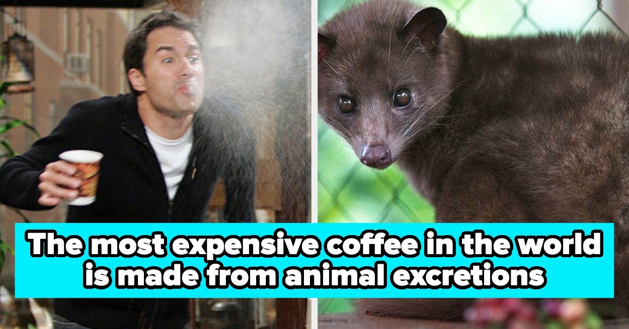11 Really, Really Interesting Facts That Kind Of Blew My Mind When I Learned Them – BuzzFeed