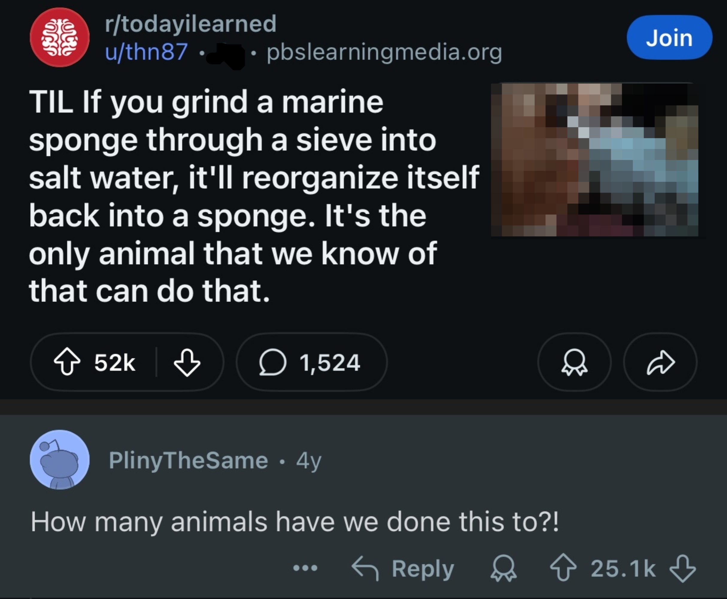 Post about marine sponges reorganizing in salt water with a humorous comment questioning animal experimentation ethics