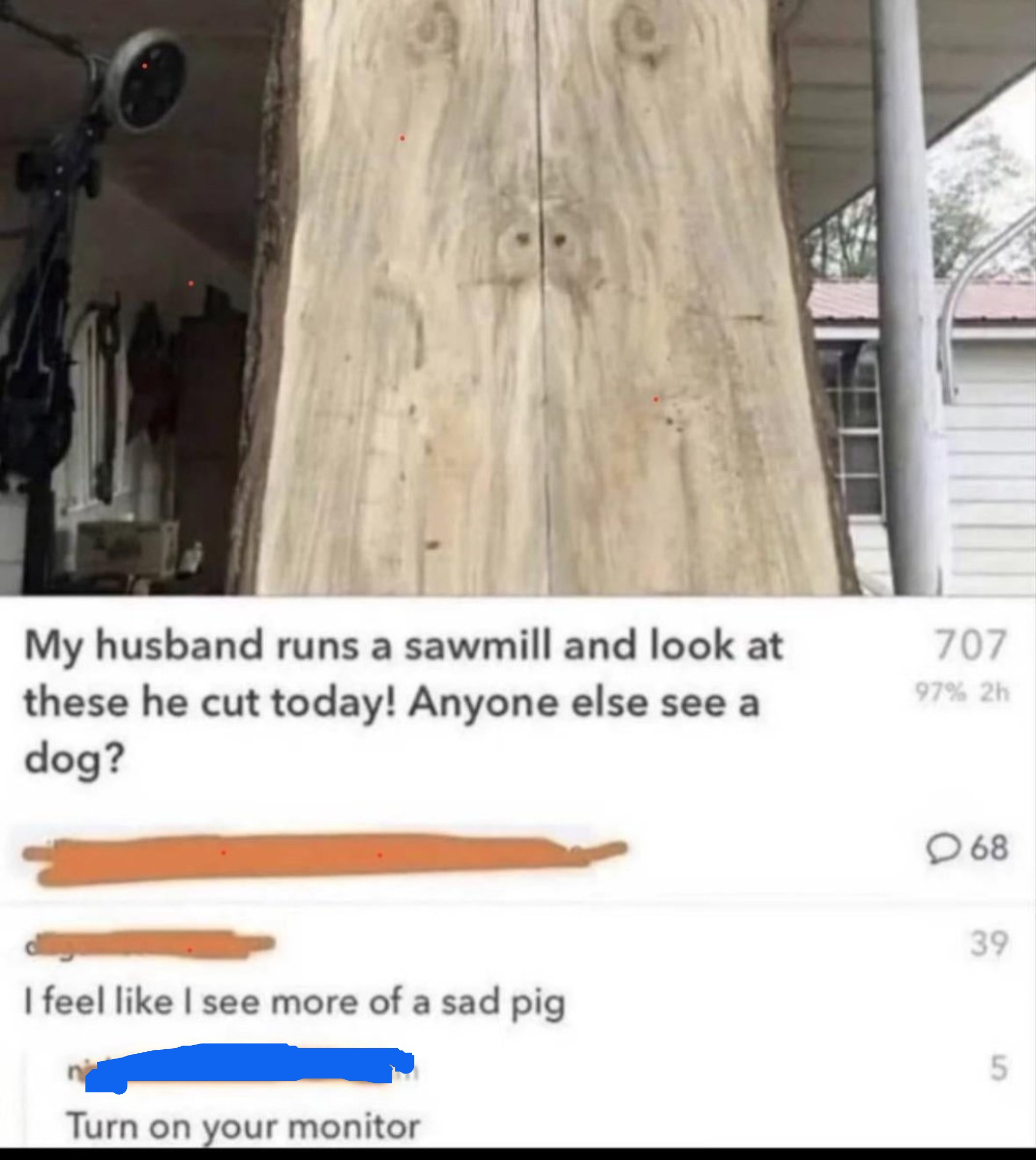 A photo of a tree trunk with a comment thread. Someone mentions seeing a dog shape in the cut, followed by replies seeing a sad pig and a monitor joke
