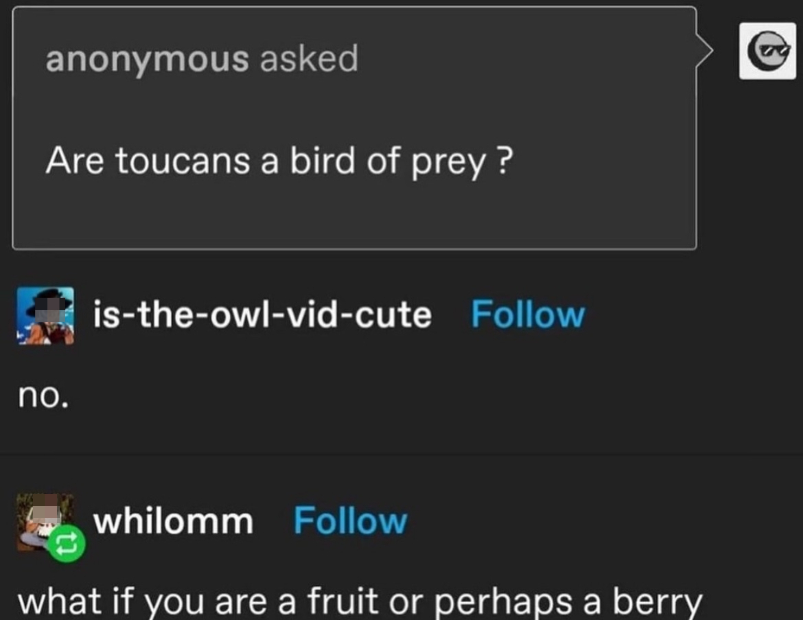 Q&amp;amp;A about toucans: Toucans are not birds of prey. Humorous response suggests imagining toucans as berry lovers instead
