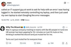 A person describes an IT mishap involving remote contro vs an x user shares a humorous story about muting someone during a meeting