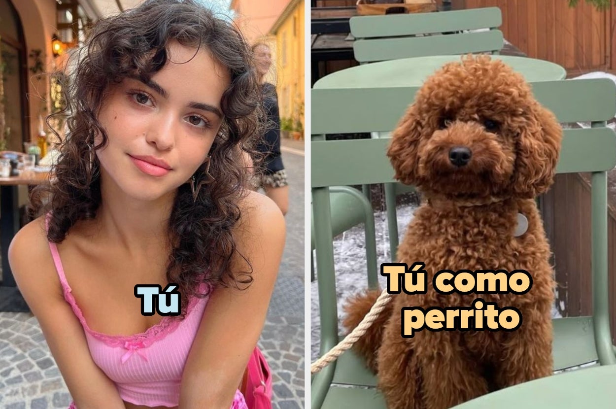 Mujer joven con cabello rizado a la izquierda; perro esponjoso en silla a la derecha. Texto humorístico compara a la mujer con el perro