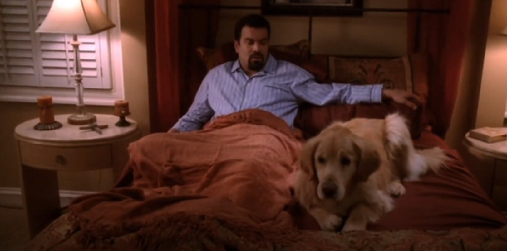 A man sits on a bed beside a dog in a cozy bedroom setting with a lamp on a side table