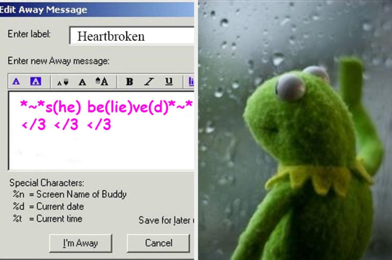 A computer screen showing an instant messenger away message editor with the text: "*~*s(he) be(lie)ve(d)*~* </3 </3 </3." kermit looks out a rainy window