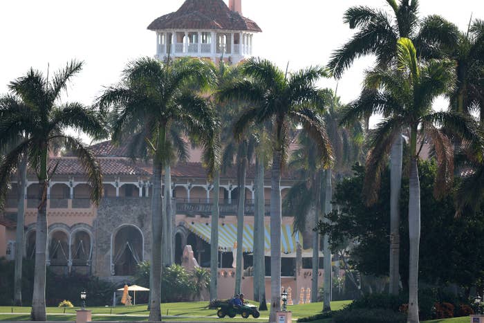 A luxurious estate with a grand building surrounded by tall palm trees