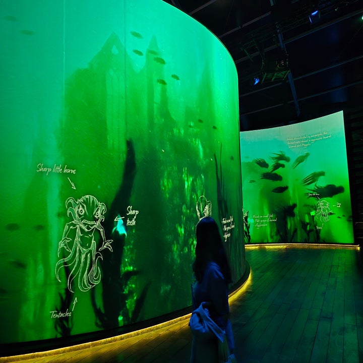 Persona observando pantallas grandes en un acuario exhibiendo criaturas marinas y texto descriptivo iluminado