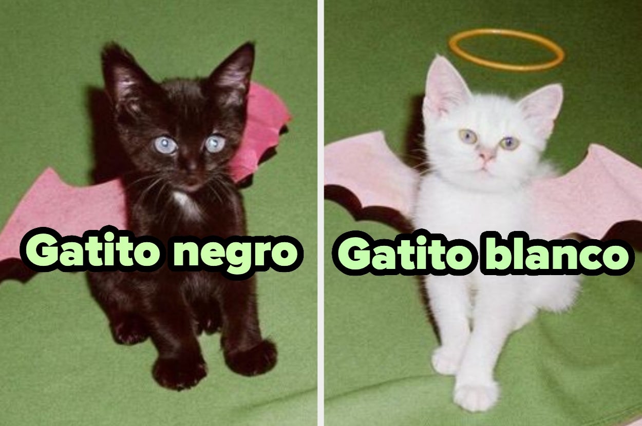 Dos gatitos con alas de murciélago; uno negro, otro blanco. Texto: "Gatito negro" y "Gatito blanco"