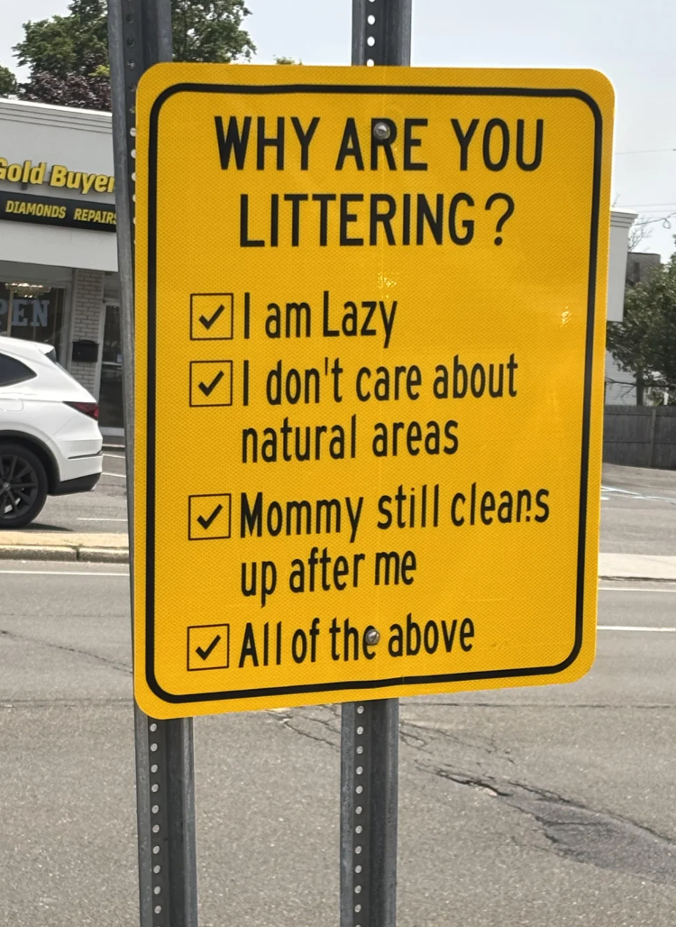  laziness, disregard for nature, relying connected  mom, and each  of the above