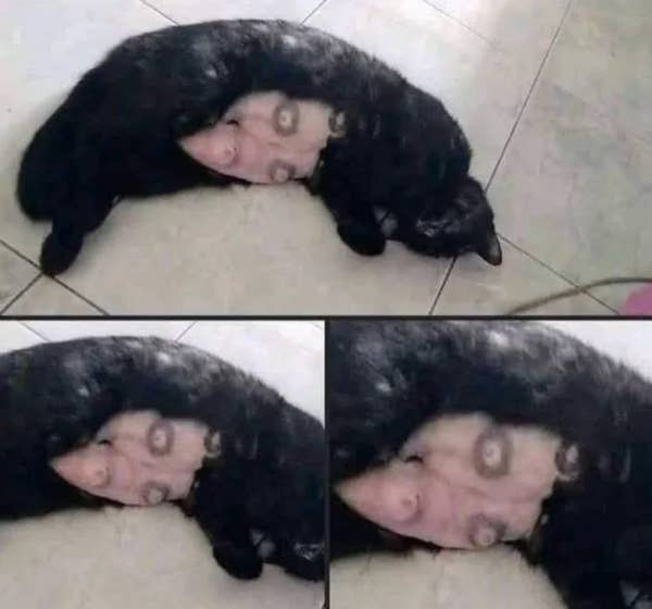 A black cat sleeps curled up, creating an illusion of tiny monkey faces on its side due to how its fur and body are positioned