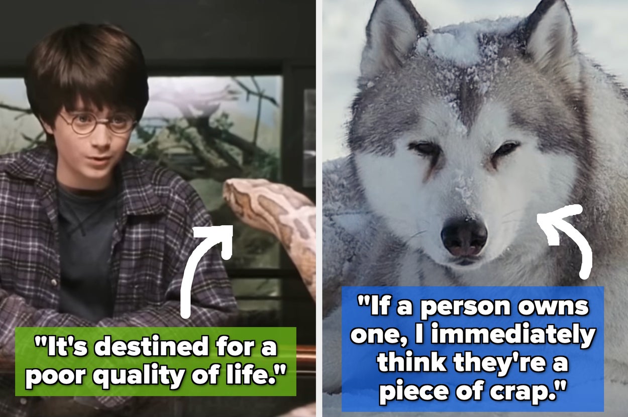 On the left, a person with glasses looks at a snake. On the right, a wolf in snow. Both have text captions expressing opinions about animals