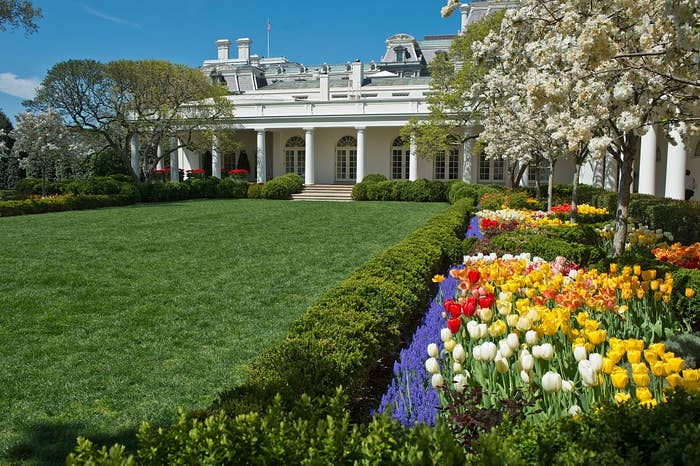 A beautifully landscaped garden with vibrant flowers and a manicured lawn in front of a classical-style building with large windows