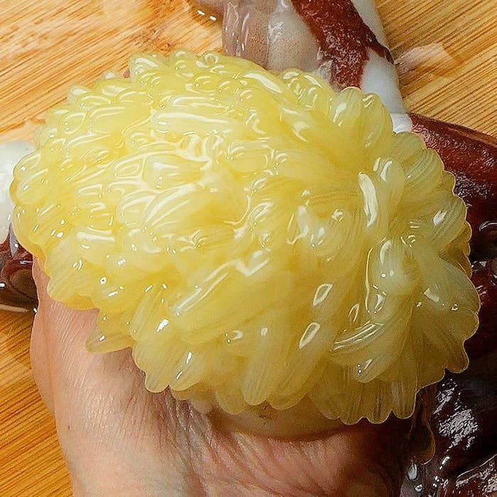 白子のような濃厚な味わいで激うま「タコの卵しゃぶしゃぶ」