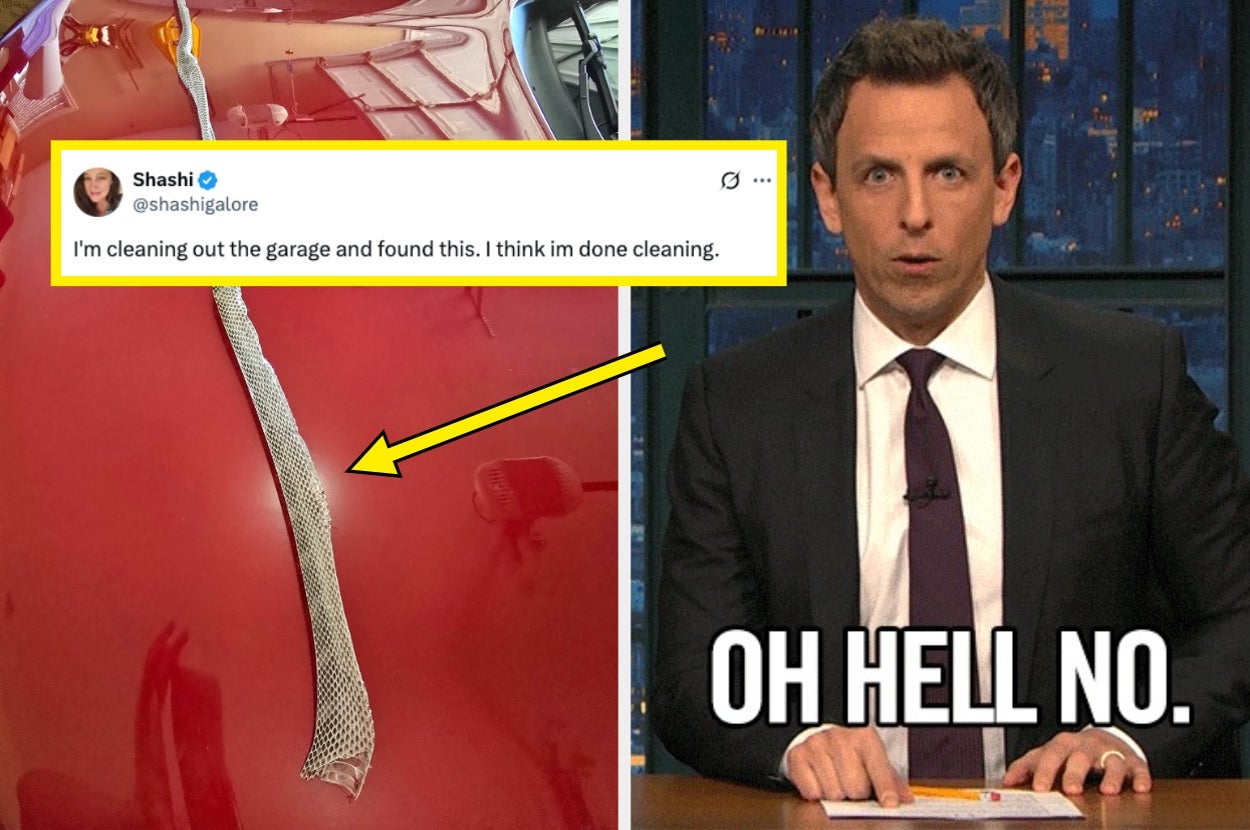 A long snake is seen on a car hood with a tweet above it. To the right, a surprised man in a suit on a talk show with the caption "OH HELL NO."