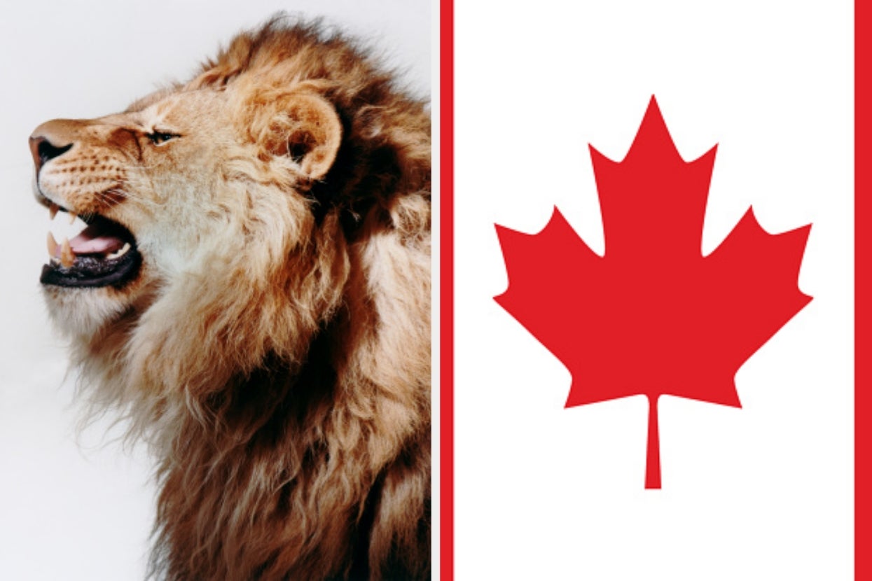 A roaring lion is on the left, and a red maple leaf symbol of Canada is on the right