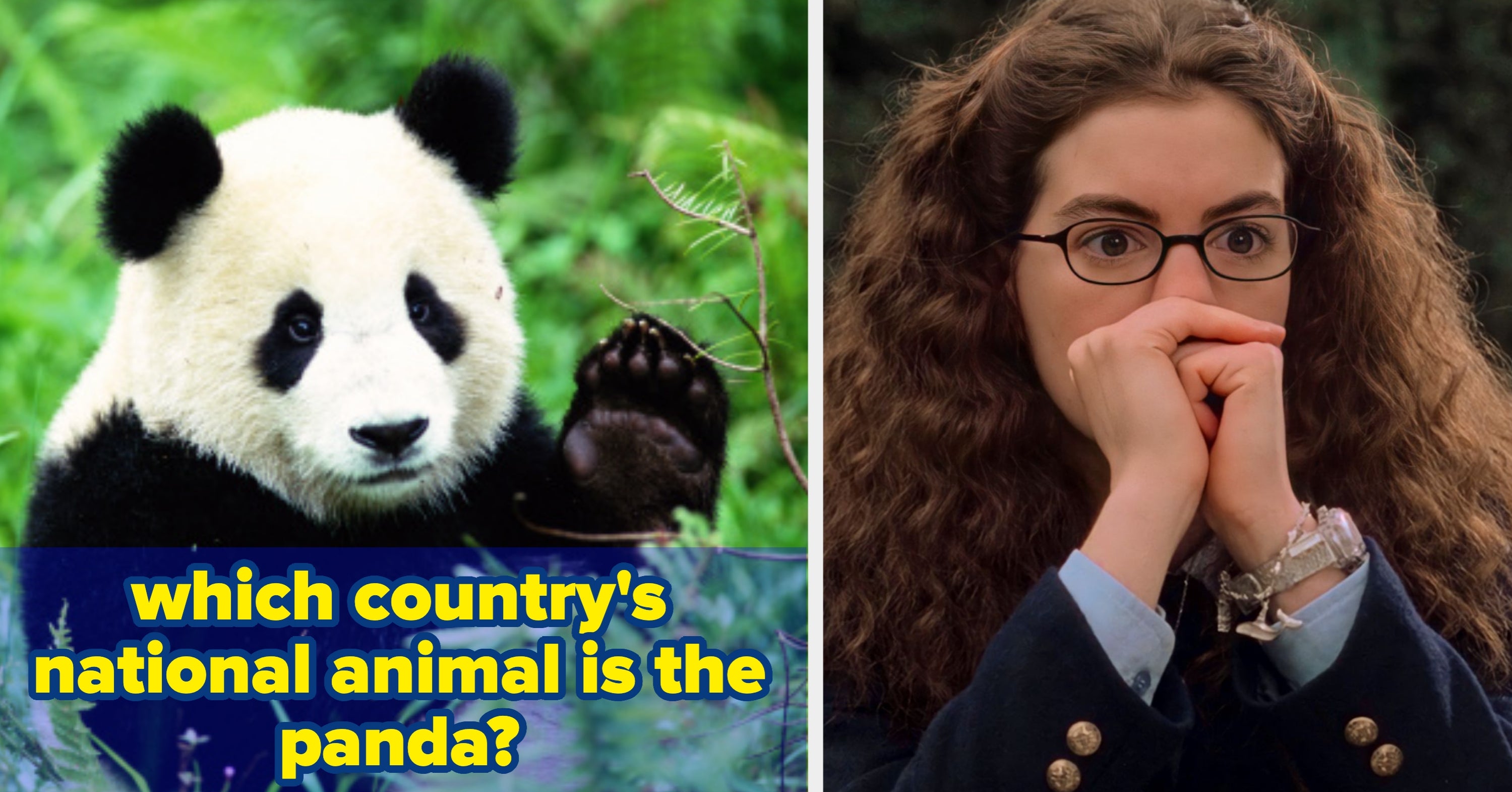 I'm Sorry, But Only Geography Geniuses Can Match These National Animals To Their Countries