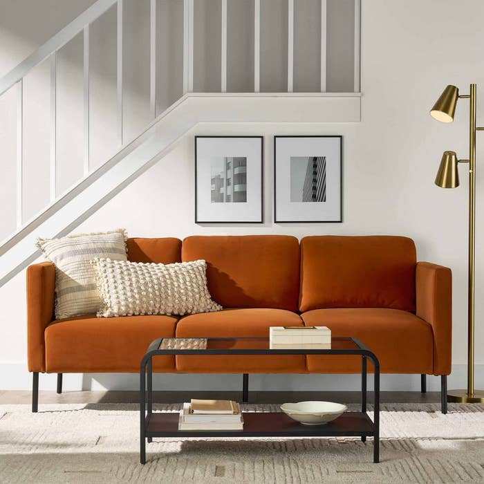 Stylish surviving country with a modern sofa.