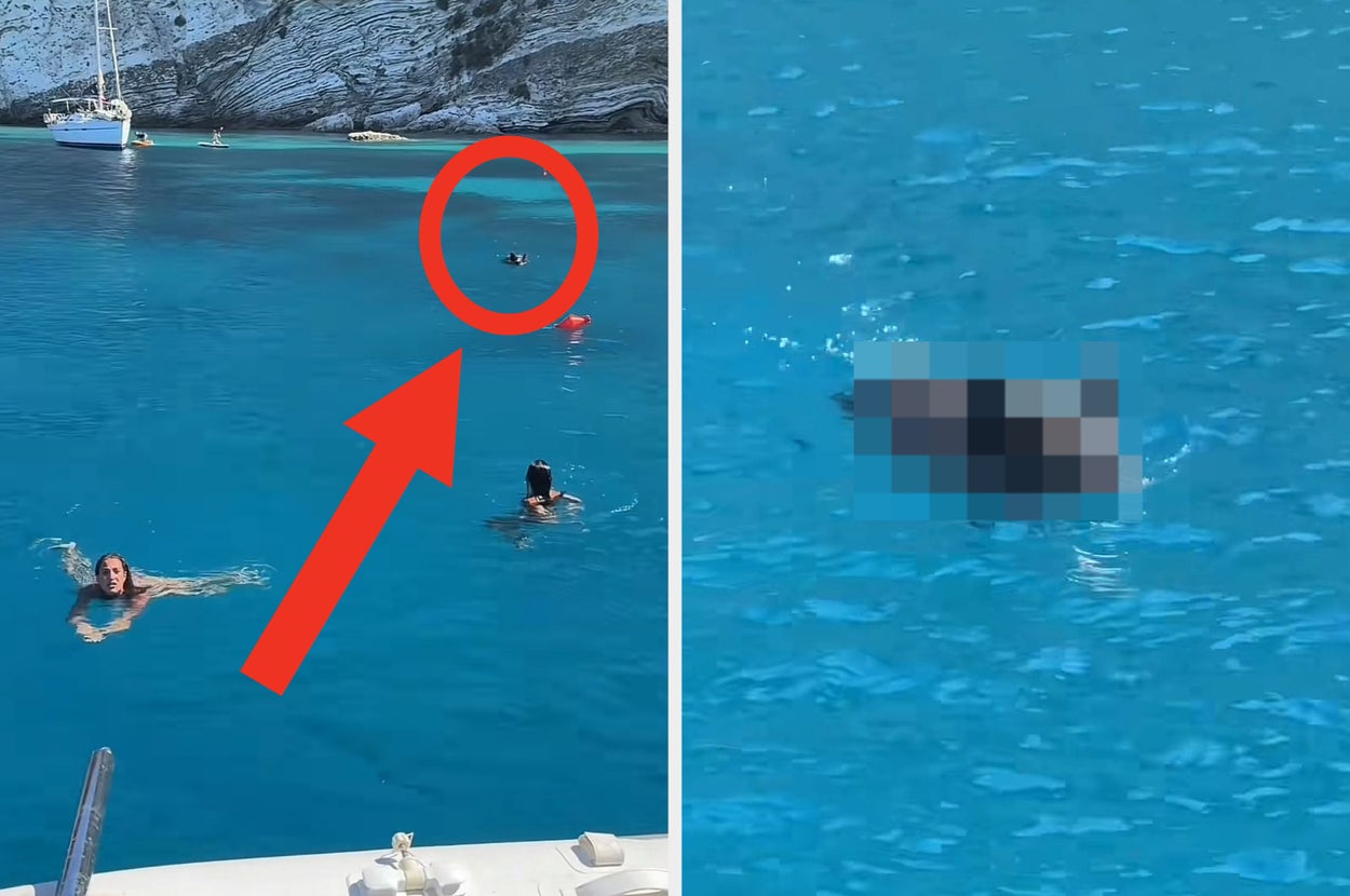 ギリシャの青い海で水泳中の3人とヨット。テキスト: 豚に追われる経験が新鮮。