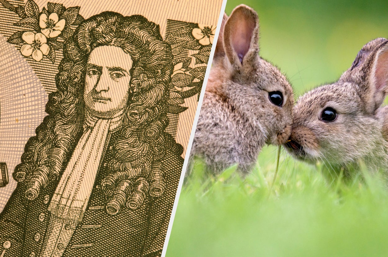 Illustration of a historical figure next to a close-up of two rabbits touching noses in a field