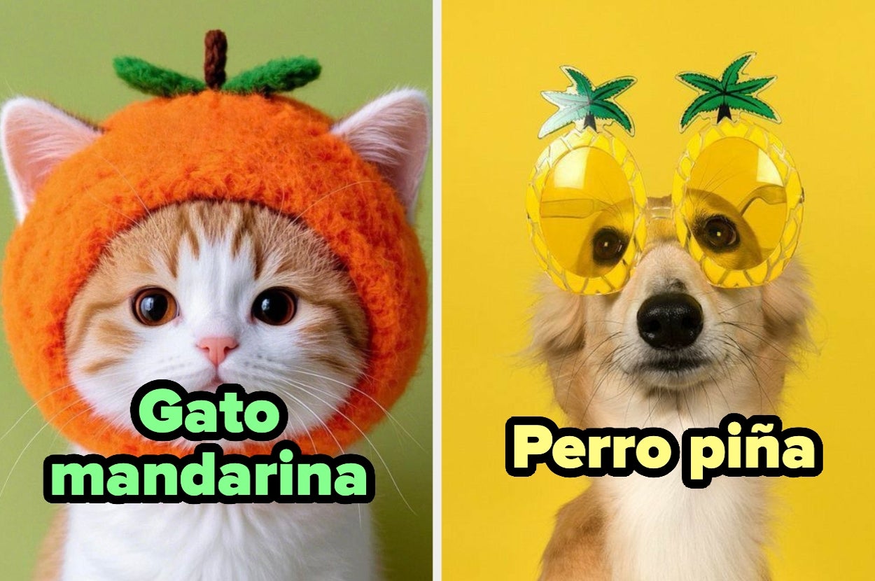Gato con sombrero de mandarina y perro con gafas de piña, ambos frente a fondo amarillo, con texto: "Gato mandarina" y "Perro piña"
