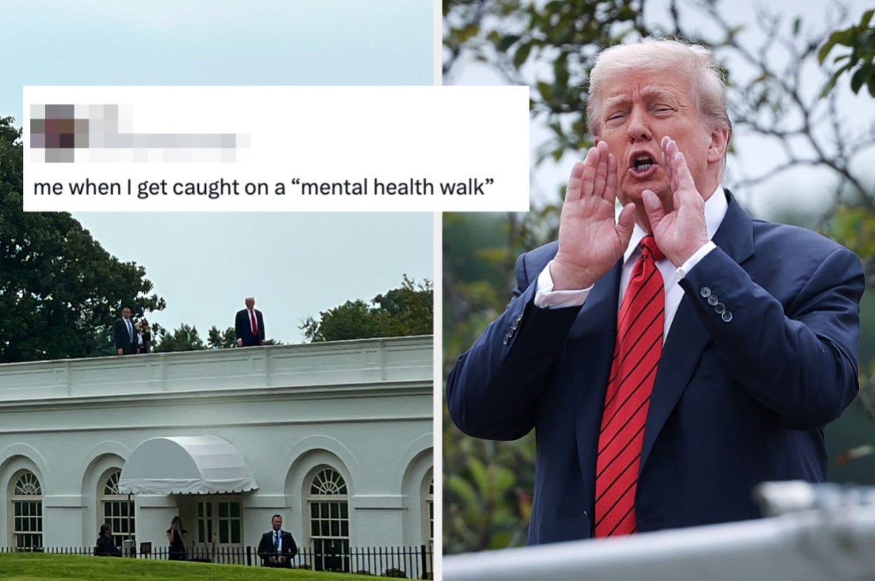 Image of a meme with a man on a roof, captioned "me when I get caught on a 'mental health walk'" next to a photo of a man speaking outside